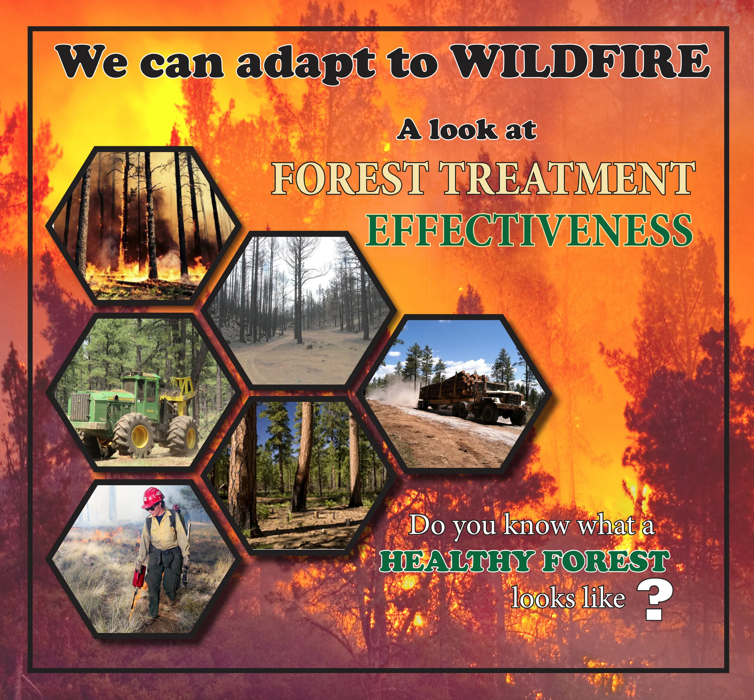 The Modern Wildfire Situation — The Western Planner